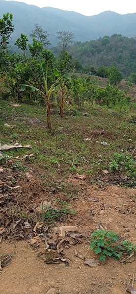 Dodamarg Property