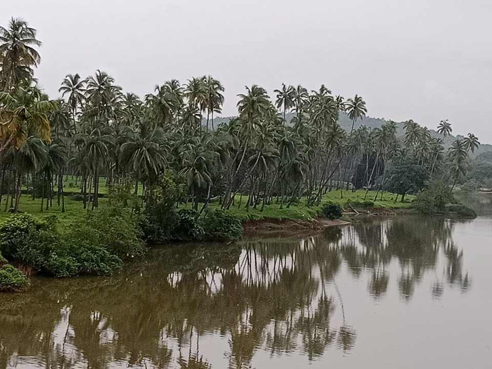 NA Plots Candolim